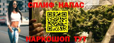 прущие грибы Нарткала