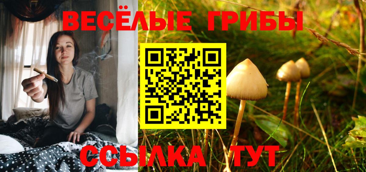 Барабинск  Псилоцибиновые грибы Psilocybine cubensis  наркошоп  Вход с VPN 